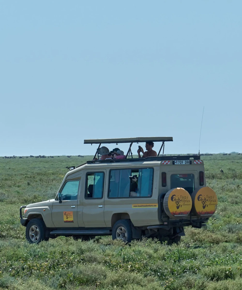Serengeti Savannah Plains